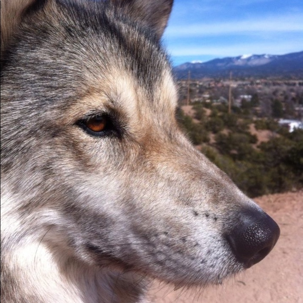 Meet your Posher, Marques